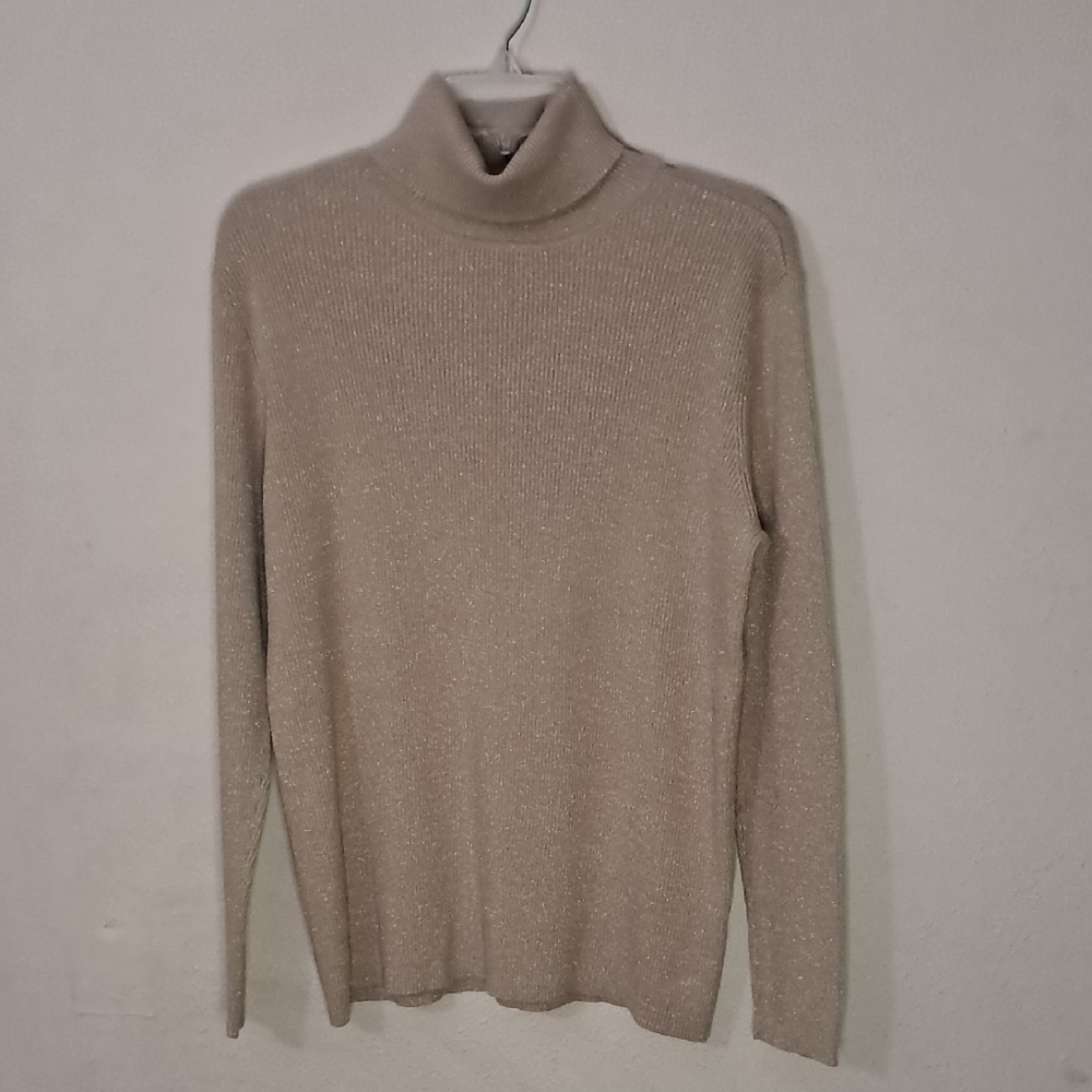 Laura Scott Women's Size XL Turtleneck Sweater